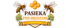 Pasieka Pod Brzozami